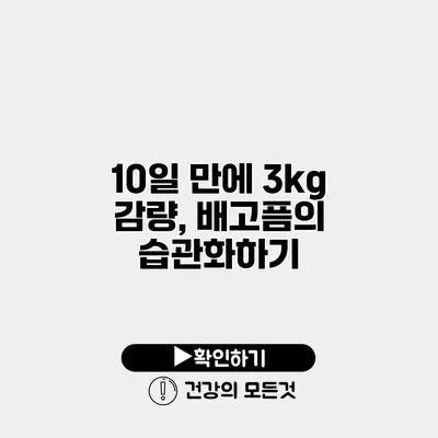 10일 만에 3kg 감량, 배고픔의 습관화하기