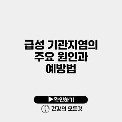 급성 기관지염의 주요 원인과 예방법