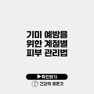 기미 예방을 위한 계절별 피부 관리법