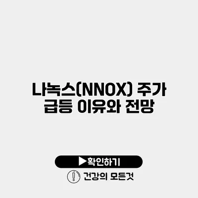 나녹스(NNOX) 주가 급등 이유와 전망