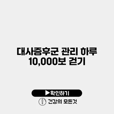 대사증후군 관리 하루 10,000보 걷기