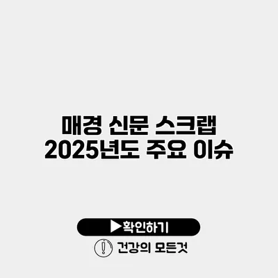 매경 신문 스크랩 2025년도 주요 이슈