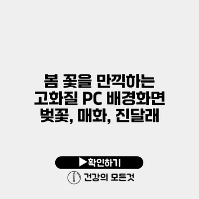 봄 꽃을 만끽하는 고화질 PC 배경화면 벚꽃, 매화, 진달래