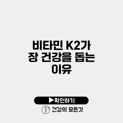 비타민 K2가 장 건강을 돕는 이유