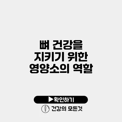 뼈 건강을 지키기 위한 영양소의 역할