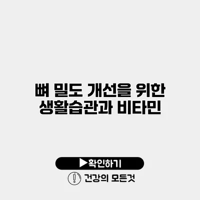뼈 밀도 개선을 위한 생활습관과 비타민