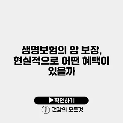 생명보험의 암 보장, 현실적으로 어떤 혜택이 있을까?