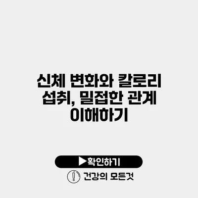 신체 변화와 칼로리 섭취, 밀접한 관계 이해하기