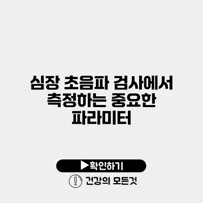 심장 초음파 검사에서 측정하는 중요한 파라미터