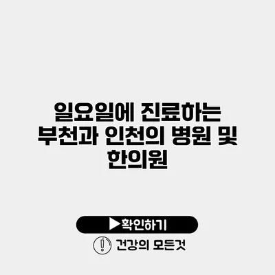 일요일에 진료하는 부천과 인천의 병원 및 한의원