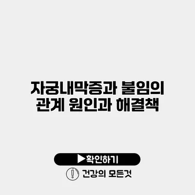 자궁내막증과 불임의 관계 원인과 해결책
