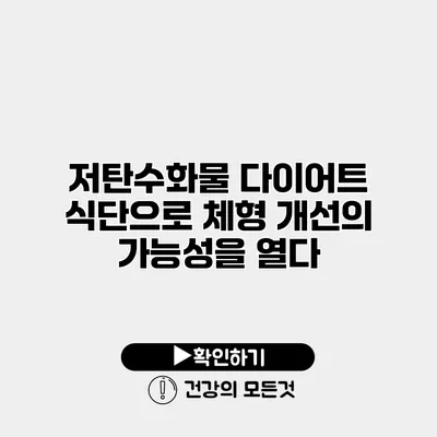 저탄수화물 다이어트 식단으로 체형 개선의 가능성을 열다