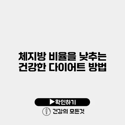 체지방 비율을 낮추는 건강한 다이어트 방법