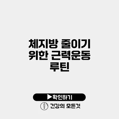 체지방 줄이기 위한 근력운동 루틴