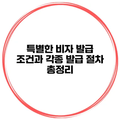 특별한 비자 발급 조건과 각종 발급 절차 총정리