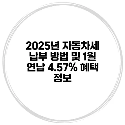 2025년 자동차세 납부 방법 및 1월 연납 4.57% 혜택 정보