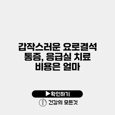 갑작스러운 요로결석 통증, 응급실 치료 비용은 얼마?
