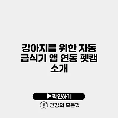 강아지를 위한 자동 급식기 앱 연동 펫캠 소개