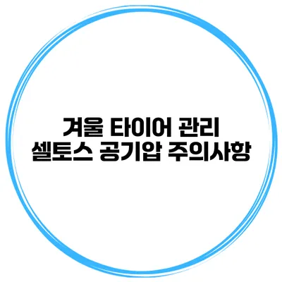 겨울 타이어 관리: 셀토스 공기압 주의사항