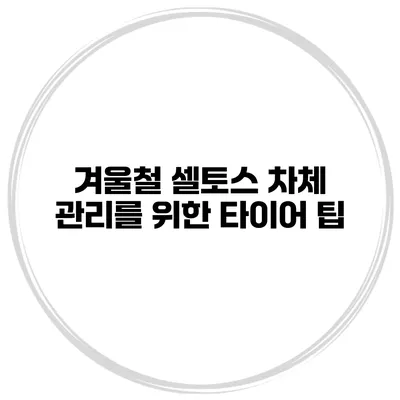 겨울철 셀토스 차체 관리를 위한 타이어 팁