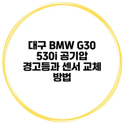 대구 BMW G30 530i: 공기압 경고등과 센서 교체 방법