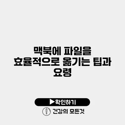 맥북에 파일을 효율적으로 옮기는 팁과 요령
