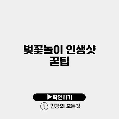 벚꽃놀이 인생샷 꿀팁