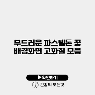 부드러운 파스텔톤 꽃 배경화면 고화질 모음
