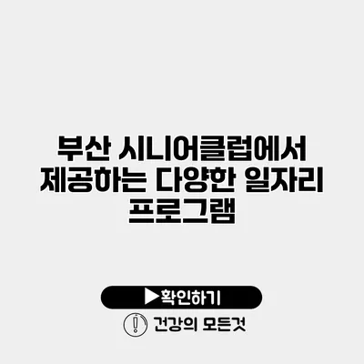 부산 시니어클럽에서 제공하는 다양한 일자리 프로그램