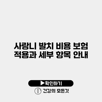 사랑니 발치 비용 보험 적용과 세부 항목 안내