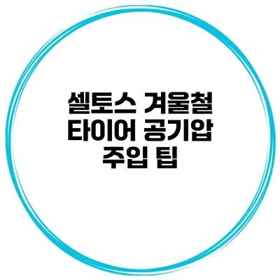 셀토스 겨울철 타이어 공기압 주입 팁