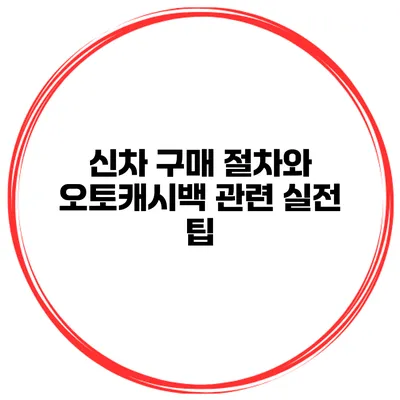 신차 구매 절차와 오토캐시백 관련 실전 팁