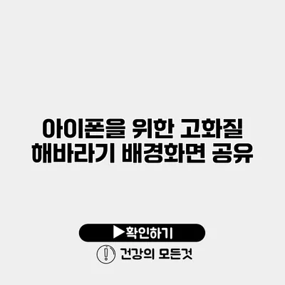 아이폰을 위한 고화질 해바라기 배경화면 공유