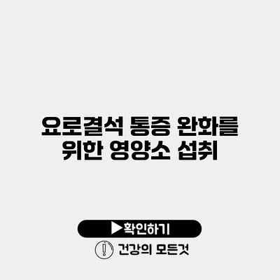 요로결석 통증 완화를 위한 영양소 섭취